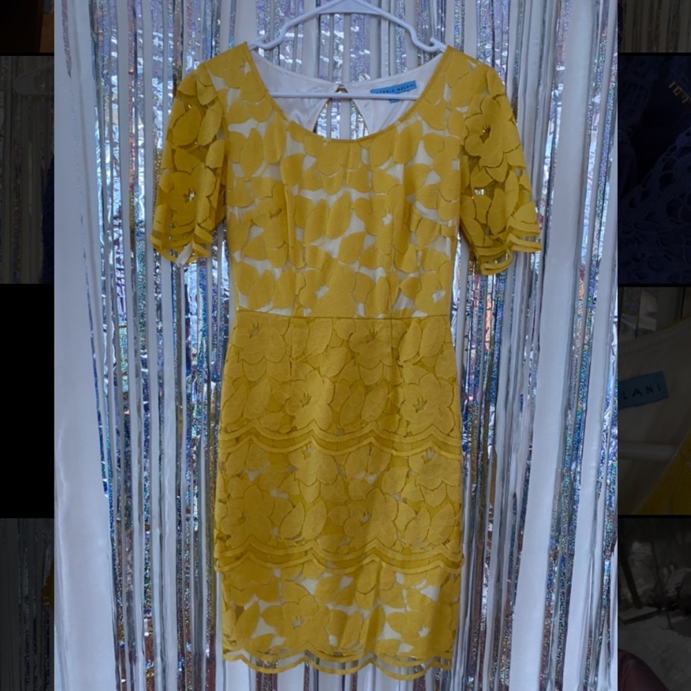 Antonio Melani yellow lace scalloped dress